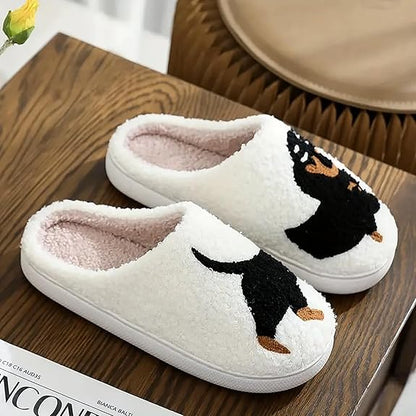 Dachshund Slipps